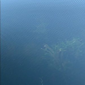 Meet your Posher, Birimo